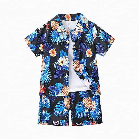 Boys Clothes Toddler Summer Outfit Sets Children's Cotton Hawaii Printed Short Sleeve Training 12 18 24 Month 3T 4T 5T T-shirt with Elastic Waist Shorts Tops T-Shirt Pants 2-Piece