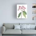 thumbnail image 3 of Melissa Wang 'Begonia Stem I' Canvas Art, 3 of 3