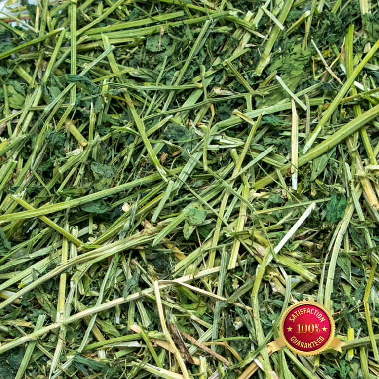 Alfalfa Hay for Rabbits: Complete Guide
