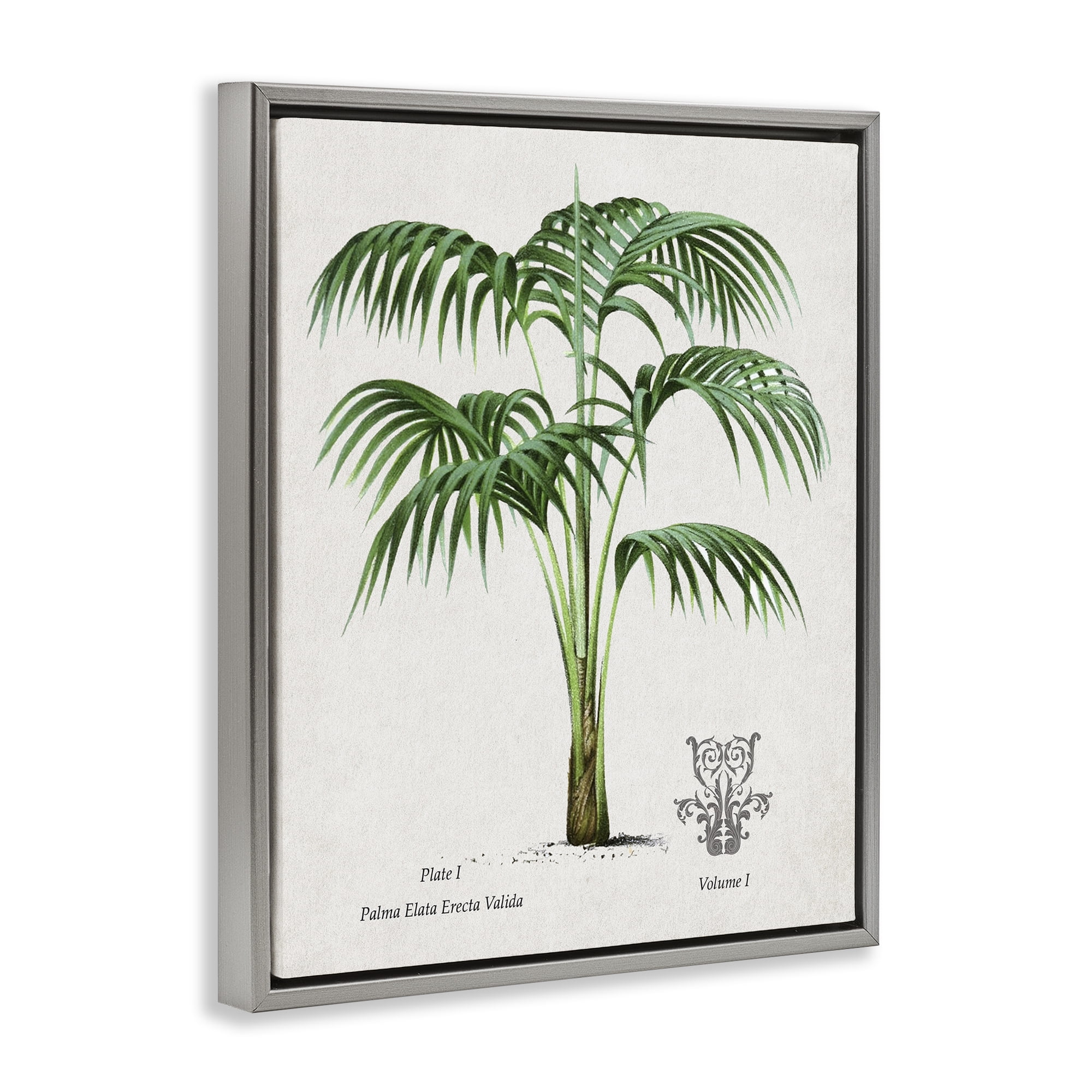 Stupell Industries Natural Palm Study Gray Framed Floater Canvas Wall Art, design by Val Rhodes