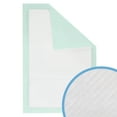 thumbnail image 6 of Petfamily Cat Litter Box Pads-Generic Refill for Tidy Cats Breeze Litter System, Size:16.9” x 11.4”-40 Count, 6 of 7