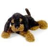 Kennel Club Collection: Floppy Dog