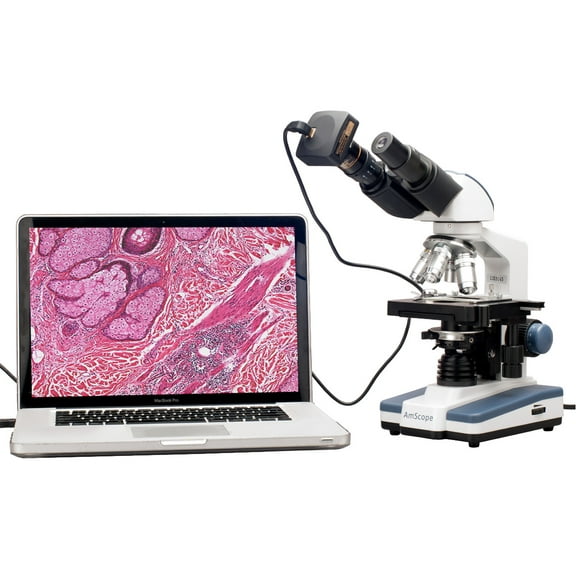 AmScope 40X-2000X LED Lab Binocular Compound Microscope w 3D Stage   10MP HD Digital Camera