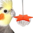 thumbnail image 4 of HLONK Clearance!  Interactive Hanging Hanging Bird Feeder Bird Feeder Hanging Mini Macaw Parrot Hanging Parrot Cockatiel Bird Cage Fruit Skewer Parrot Feeder Bird Feeder, 4 of 7