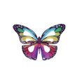 thumbnail image 1 of Crystal Candy Rainbow Edible Butterflies - Pack of 22, 1 of 2