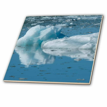 - 3dRose Norway, Svalbard, Spitsbergen. Ice filled bay at a glacier mouth. - Glass Tile, 8-inch