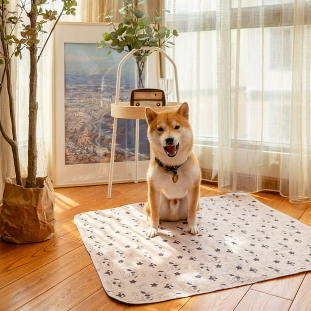 Almohadilla reutilizable para orina de perro | Tapete absorbente impermeable y antifugas para entrenamiento de mascotas | Almohadilla lavable resistente a mordidas para uso en interiores y