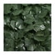 thumbnail image 1 of Malla telescópica para vallas - Muro artificial de privacidad para plantas de 50x50 cm con protección UV para balcón, jardín y decoración exterior, 1 of 1