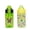 Creeper, variant on Zak Designs 2pc 16 oz Disney Frozen 2 Movie Kids Water Bottle Plastic with Easy-Open Locking Spout Cover for Travel, Anna and Elsa