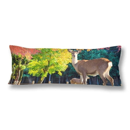 ABPHOTO Deer Tree Forest Plant Animal Body Pillow Covers Case Protector 20x60 (Best Trees To Plant For Deer Cover)
