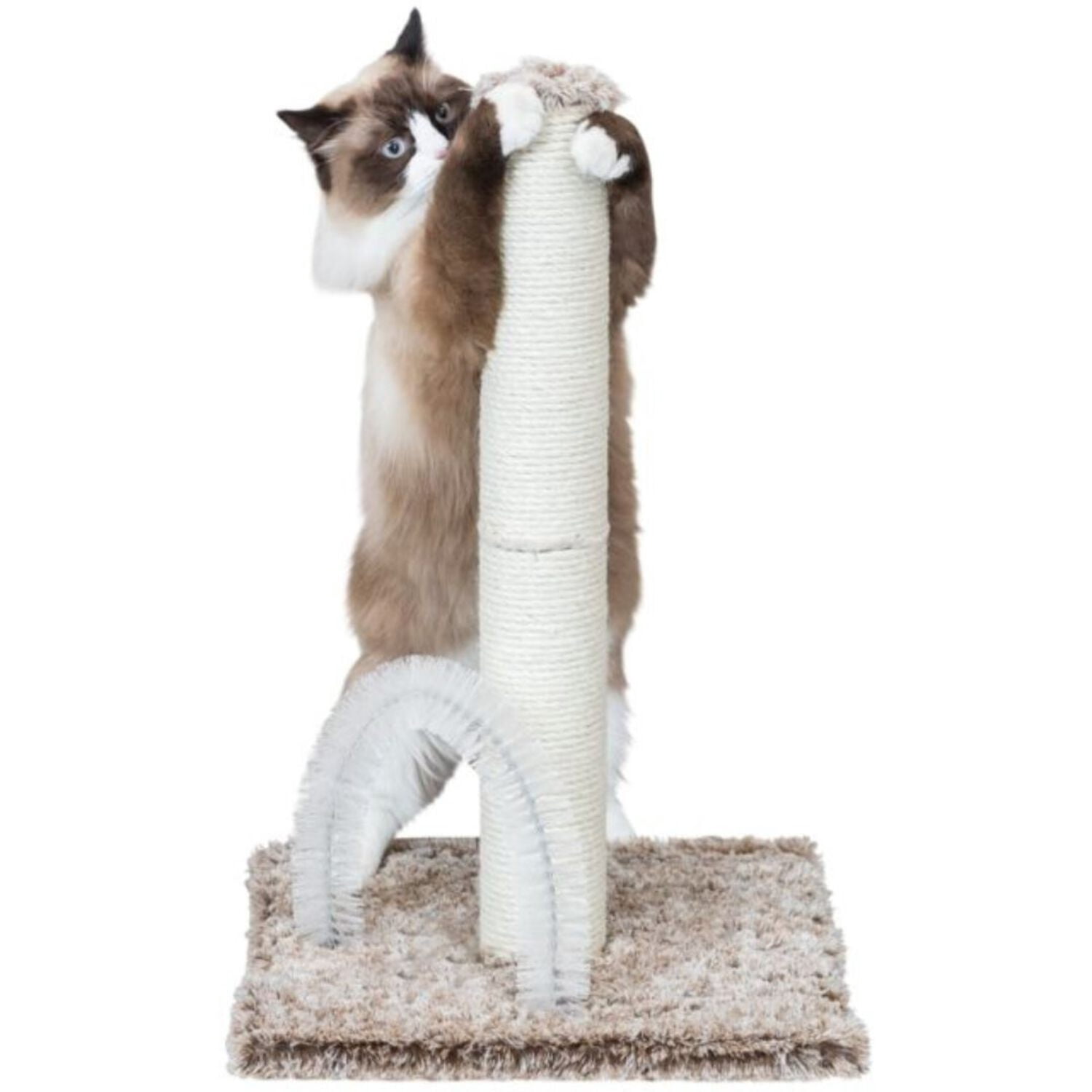Trixie Pet Products 4011905433363 Cat Lola Scratching Post, Brown