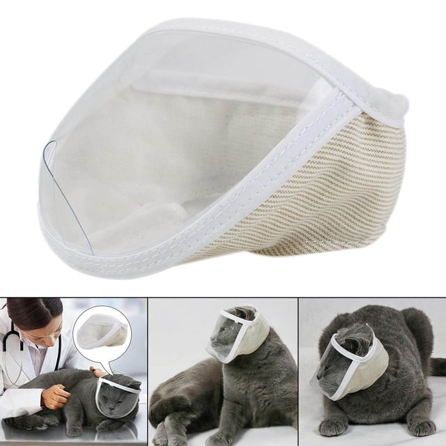 Xingzhi Masque Transparent pour Visage de Chat Anti-Morsure Anti-Appel Moyen