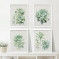 thumbnail image 2 of PixonSign&nbsp;Framed Pastel Echeveria Cactus Succulent Wall Art, Set of 4 Nature Wilderness Prints, Botanical Floral Plant Wall Décor, Rustic Artwork for Living Room, Bedroom - 8"x10" White, 2 of 5