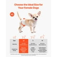 thumbnail image 2 of VEVOR Disposable Dog Diapers Super Absorbent Female Dog Diapers XS Size 96 Count, 2 of 9