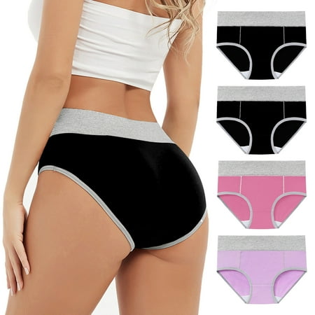 Fancifize Womens Underwear  Nylon High Waist Underwear Full Coverage Soft Comfortable Ladies Briefs Panty  4 Pack (Regular & Plus Size)