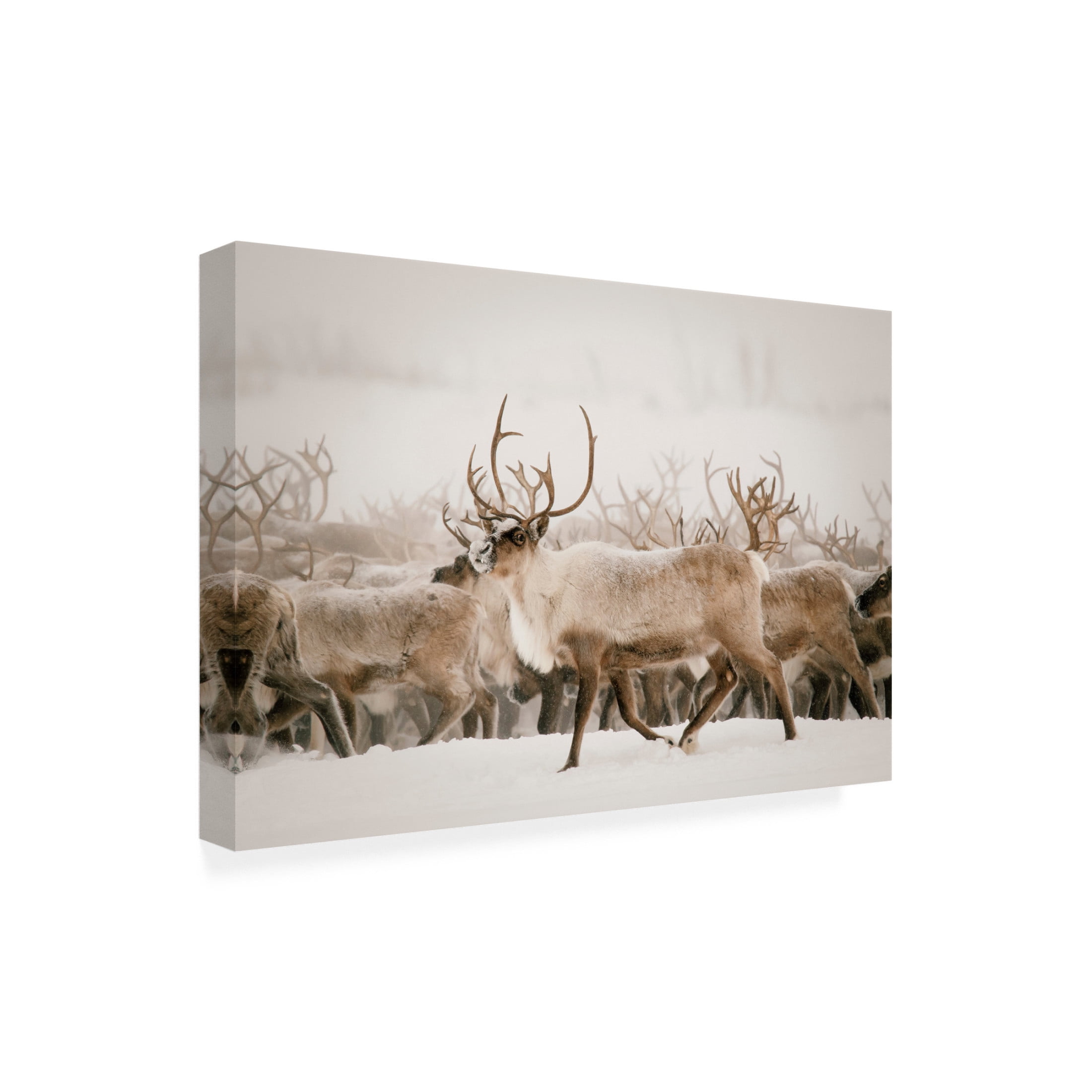 Canvas Wall Art - Krista Broadway 'Firth' Wall Art for Living Room, Bedroom, or Office Décor by Trademark Fine Art - 24 x 16 Inches