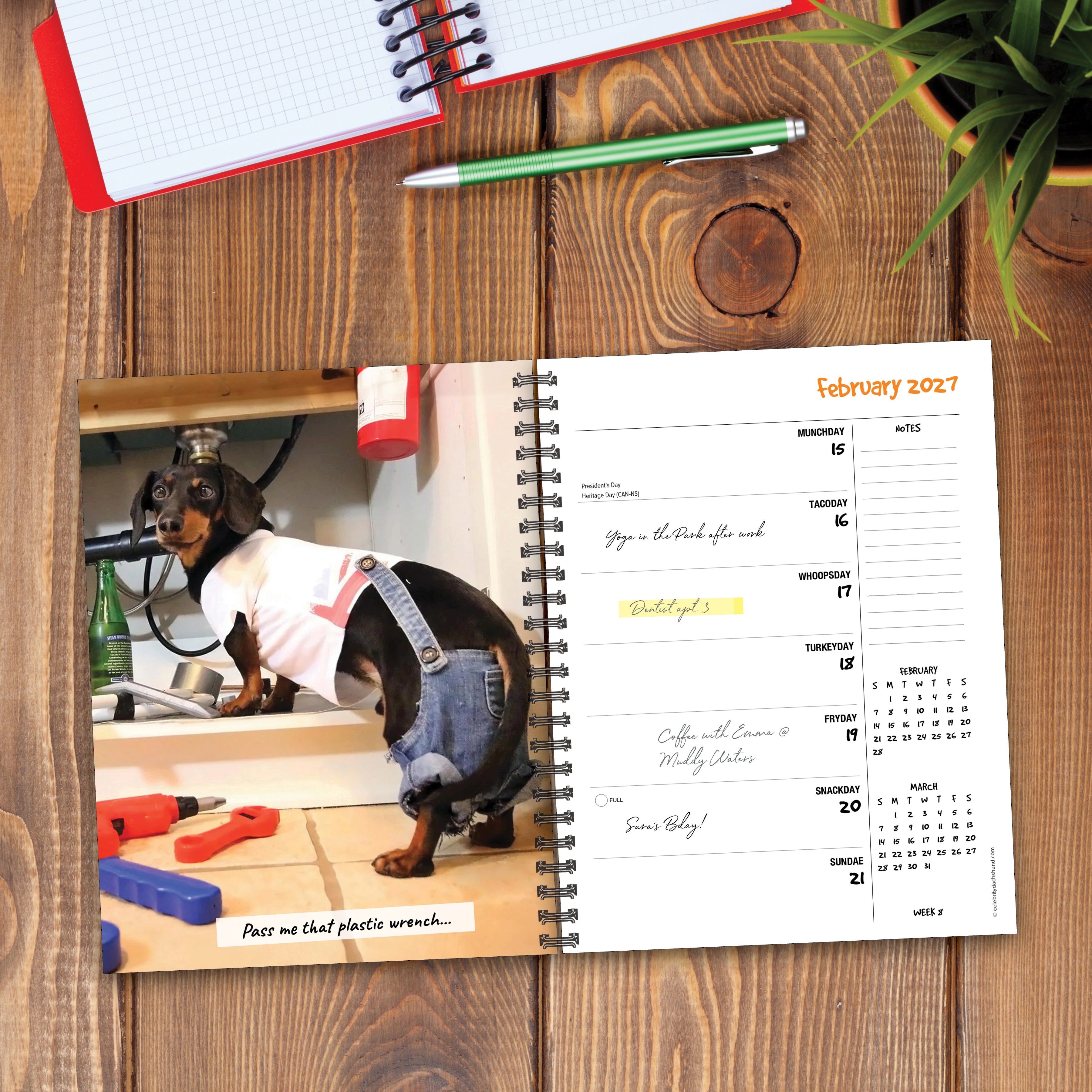 Willow Creek Press, Crusoe the Celebrity Dachshund 2027 Engagement Calendar