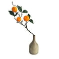 thumbnail image 1 of Fruits de Simulation - Trois oranges Artificielles, 1 of 13