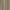 Taupe, variant on No. 918 Juliette Voile Sheer Rod Pocket Curtain Panel (Single Curtain Panel Only)