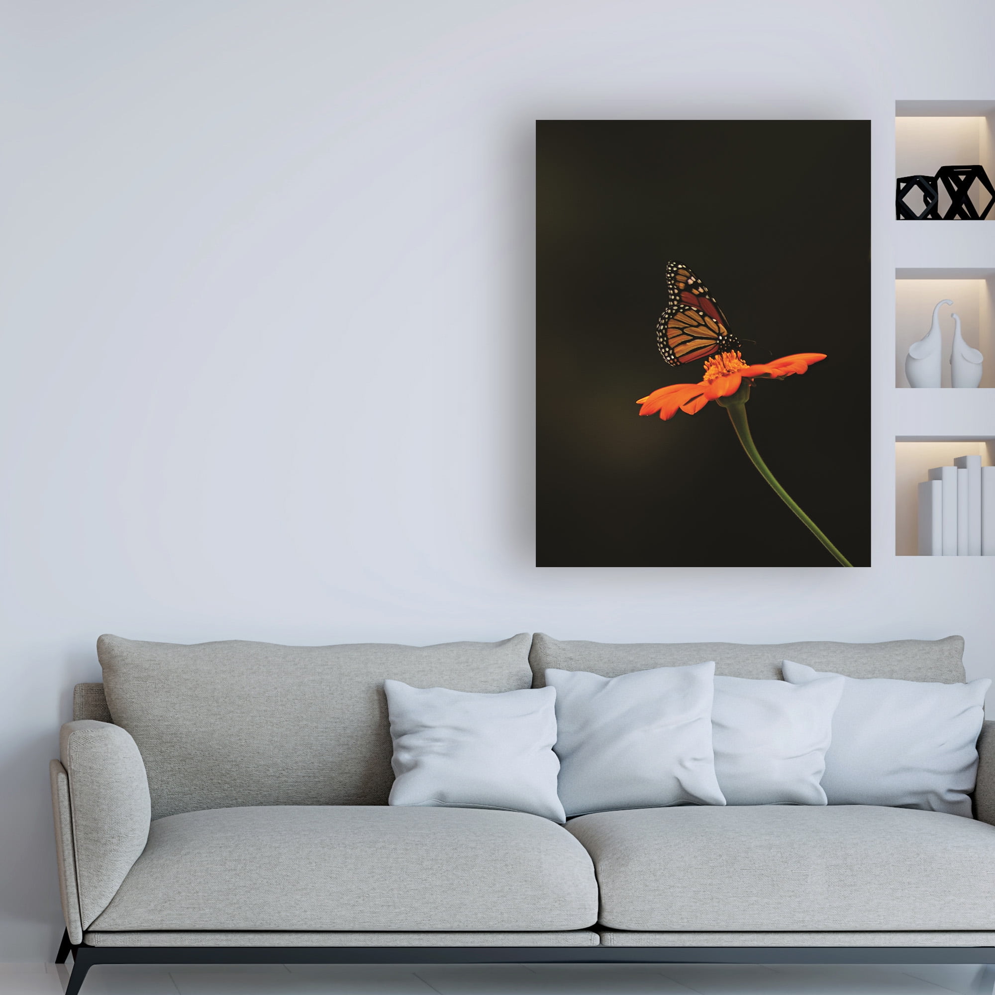 Trademark Fine Art 'Monarch on Orange' Canvas Art by Kurt Shaffer Photographs
