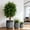 SH004-Warm White, variant on Large Concrete Planters Set of 3, Big Round Outdoor Indoor Garden Pots with Drainage Hole & Rubber Plug, 18/13/9 Inch Diameter (SH004)