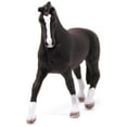 thumbnail image 1 of Black Hanoverian Mare, 1 of 4