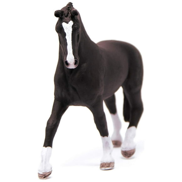 Black Hanoverian Mare