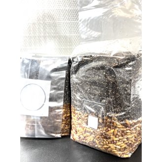 2-Pack Mushroom Grow Bags - All-in-One Sterilized Rye Grain & Substrate Kit