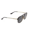 thumbnail image 3 of Hawk 2128 02 Men's Men's Sunglasses, 3 of 3
