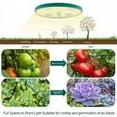 thumbnail image 2 of Nuevo kit de mini plantas de invernadero de 5 piezas, con luz solar de espectro completo, caja de cultivo de invernadero interior con tapa y rejillas de ventilación, 10 etiquetas, 2 herramientas de, 2 of 5