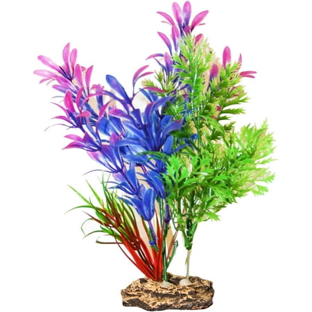 SPORN Aquatics 7-Inch Blue/Purple Hygrophilia Standing Aquarium (Best Place To Order Aquarium Plants)