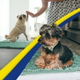 thumbnail image 2 of Muddy Mat® | Super Absorbent Door Mat Indoor, Microfiber Quick Dry Chenille Entryway Rug, Non-Slip Front Door Mat, Indoor Mats for Entryway, Machine Washable Pet Rug, Seafoam Green 28"x18", 2 of 7