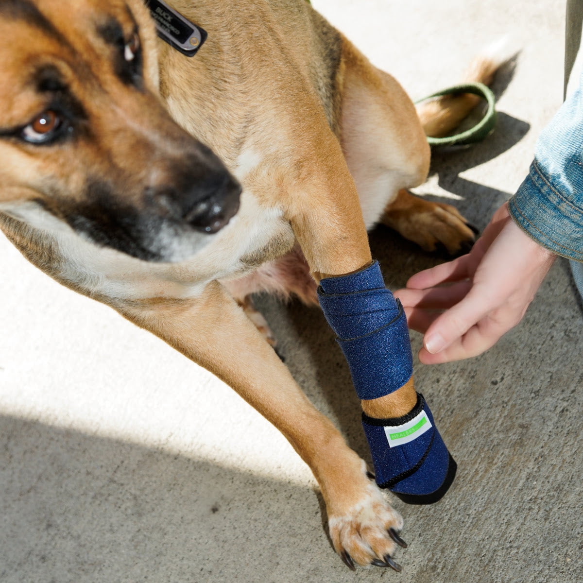 (4 pack) Healers Medical Elastic Wrap Leg Bandage for Dogs, Medium, 24" Long, includes 2 gauze pads
