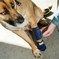 thumbnail image 6 of Healers Medical Elastic Wrap Leg Bandage for Dogs, Medium, 24" Long, includes 2 gauze pads, 6 of 6