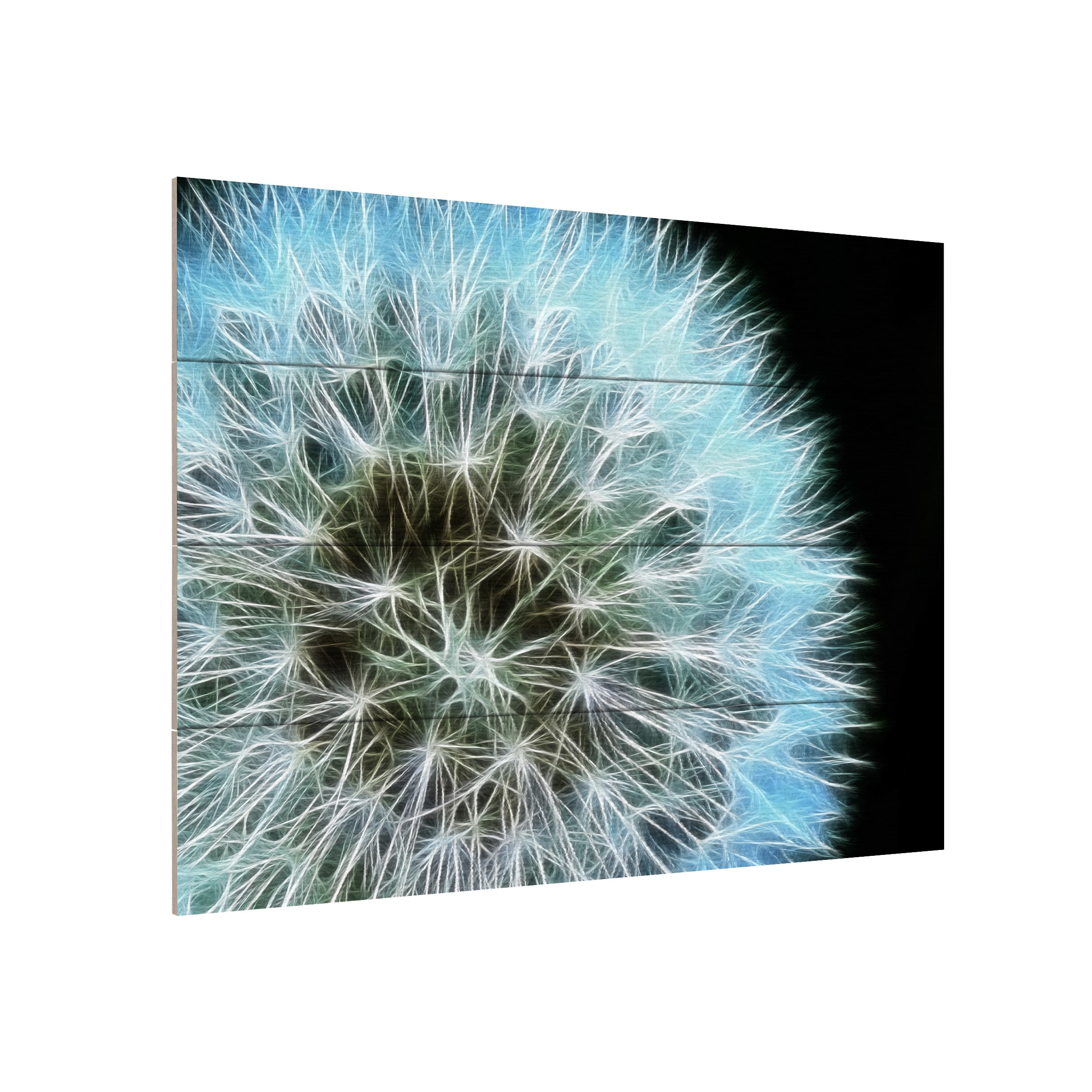 Trademark Fine Art 'Dandelion Seed Head Full' Wooden Wall Art Art by Kathie McCurdy