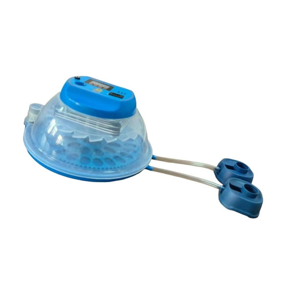 Egg Hatching for Hatching Eggs Chicken Hatcher for Chicken Pigeon Chick Single Electric
