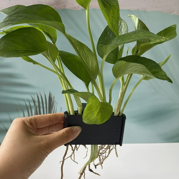 Estante de decoraciones Maceta colgante duradera para acuario/pecera (A)