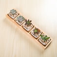 thumbnail image 7 of SPRING PARK Multi Grid Wooden Flower Pot Bonsai Planter Box Desktop Storage Holder Organizer, 7 of 7