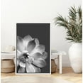 thumbnail image 2 of PixonSign Framed Wall Art Print Set Lily Pad Succulent Floral Cactus Photography Modern Art Chic Relax/Calm Grey Dark Black and White for Living Room, Bedroom, Office - 24"x36" White, 2 of 5