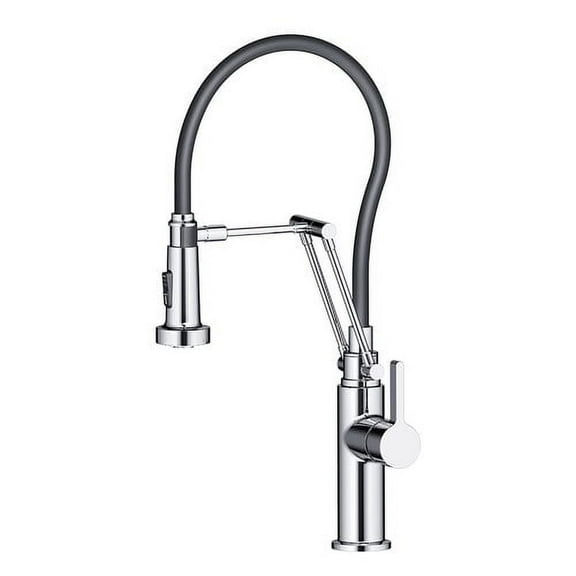 Blossom Chrome Finish Pull Down Single Handle Kitchen Faucet - F01 208 01