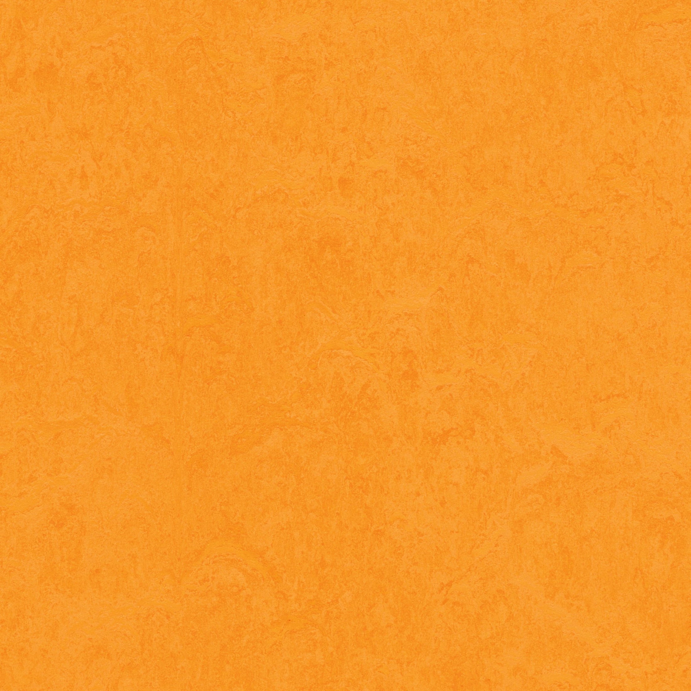 Forbo Flooring Marmoleum Cinch Loc Seal 11.81" x 11.81" Laminate Square in Marigold 6.78 Sq ft