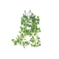 thumbnail image 1 of Ivy Hanging Bush, 1 of 3