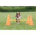thumbnail image 4 of TRIXIE Dog Agility Hurdle Cone Set, Portable Canine Agility Training Set, 6 Exercise Cones with 3 Agility Rods, 4 of 9