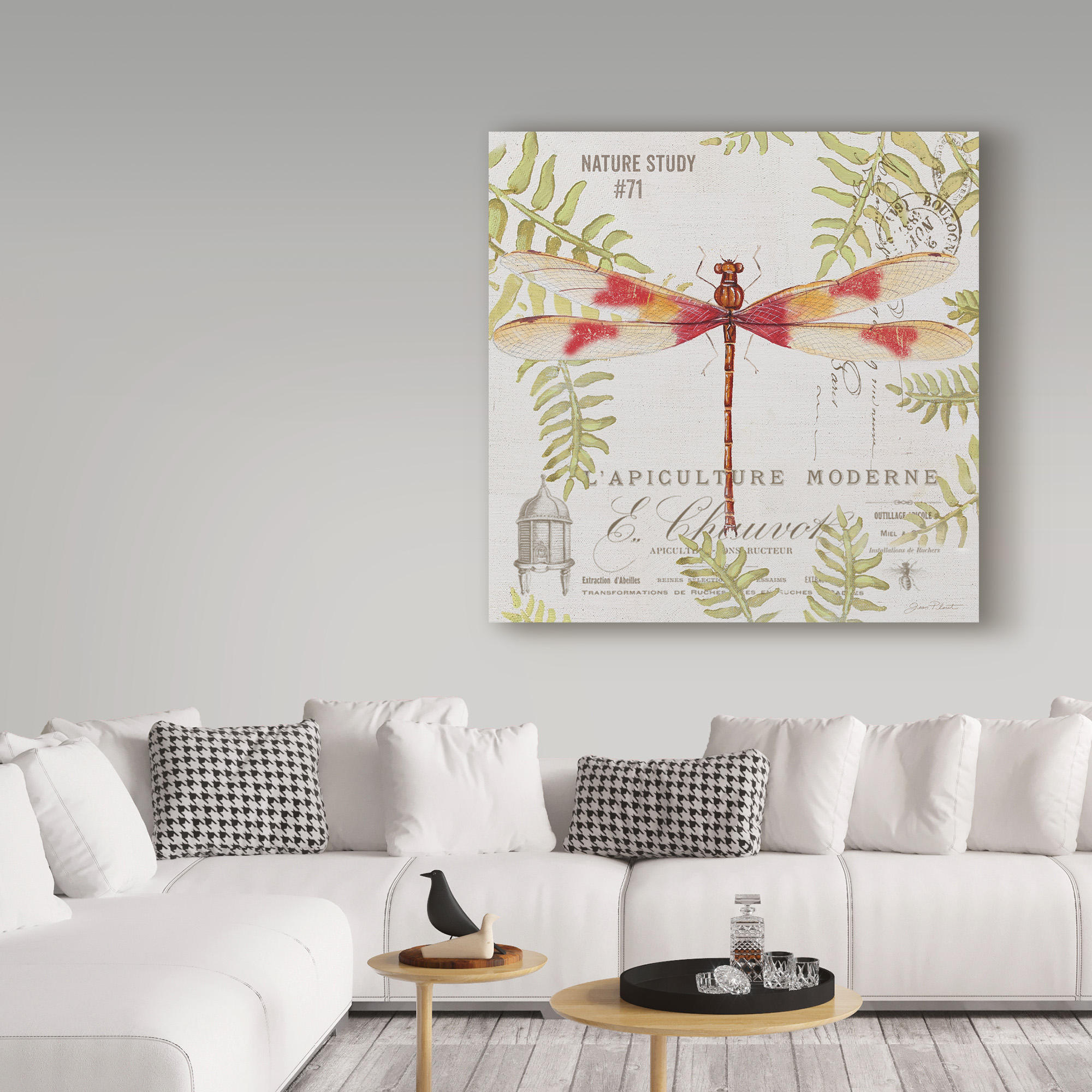 Trademark Fine Art 'Botanical Dragonfly 4' Canvas Art by Jean Plout