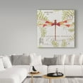 thumbnail image 3 of Trademark Fine Art 'Botanical Dragonfly 4' Canvas Art by Jean Plout, 3 of 3