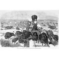 thumbnail image 2 of Hunters Shooting At A Herd Of Bison From A Train And Along The Tracks History (36 x 24), 2 of 2