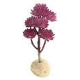 thumbnail image 1 of Planta de imitación para decoración de terrario de tortuga, , tortuga, tortuga - 17x6cm, 1 of 8