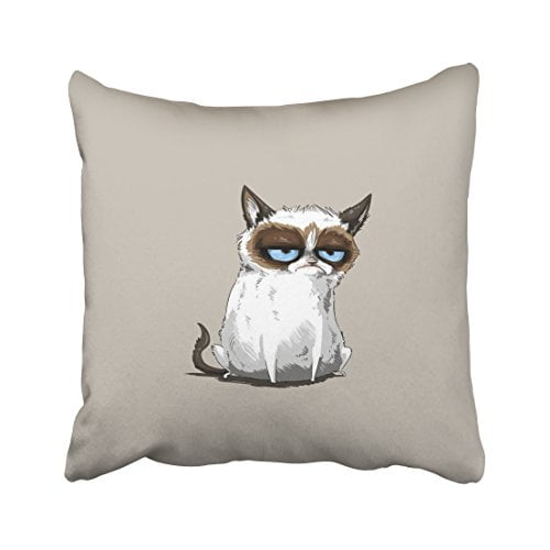 RYLABLUE Cute Cartoon Sad Cat Frustrated Blue Eyes Decorative Pillowcases With Hidden Zipper Decor Cushion Covers Two Sides 20x20 inches