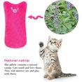thumbnail image 4 of Catnip juguetes de peluche 10 Uds gato pulgar juguetes de peluche juguetes interactivos para masticar Catnip juguete conjunto juguetes de peluche adecuados para todos los gatos y gatitos esquí esquí Gafas de esquí, 4 of 5