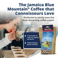 thumbnail image 4 of Island Blue -100% Jamaica Blue Mountain Medium Roasted Ground Coffee (8oz), 4 of 9